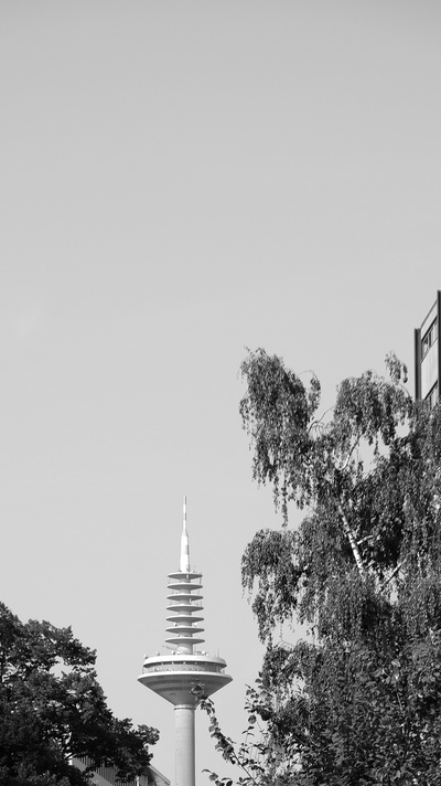 Sicht auf Ginheimer Spargel